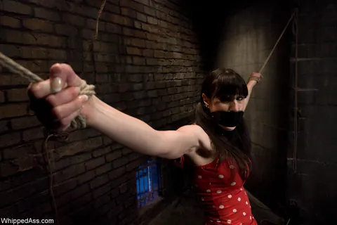 Maitresse Madeline Marlowe: Blonde MILF Dominates Brunette in Bondage Lesbian Session – photo 3 of 21