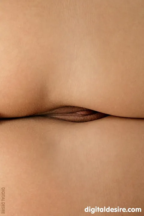 Paxton Pierce: Brunette with Natural Tits Spreads Her Pussy in Close Detail – photo 16 of 21