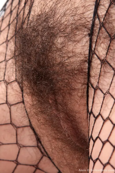 Ansie Rocher: Redhead Shows Her Hairy Bush Through Fishnet Bodysuit Outdoors – photo 17 of 17