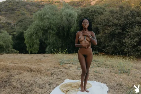 Ebony Beauty Strips Nude and Shows Off Her Flawless Figure – photo 8 of 20