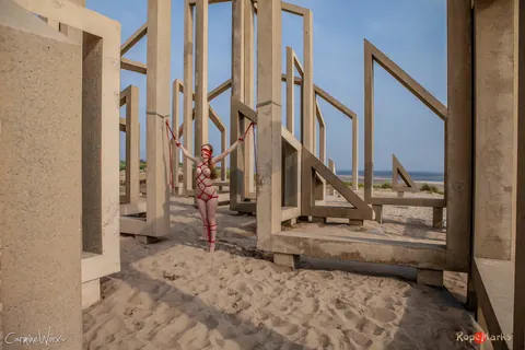 Busty Woman Tied to Construction Beams on the Beach – photo 15 of 16