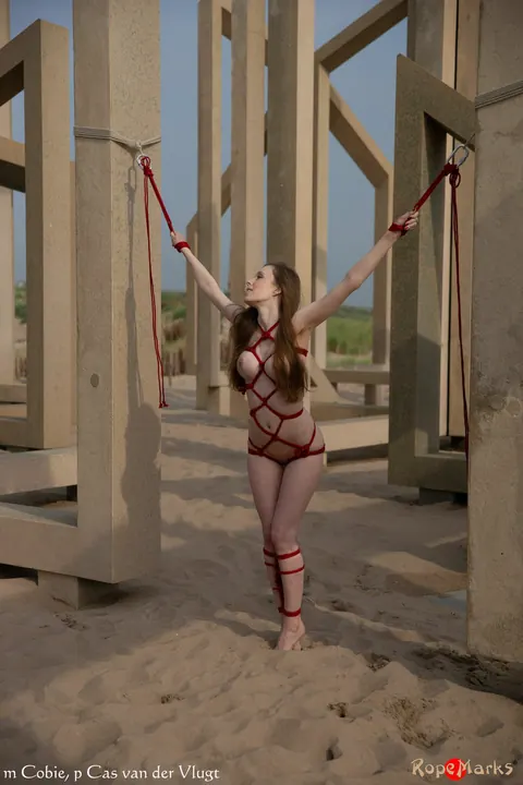 Busty Woman Tied to Construction Beams on the Beach – photo 9 of 16