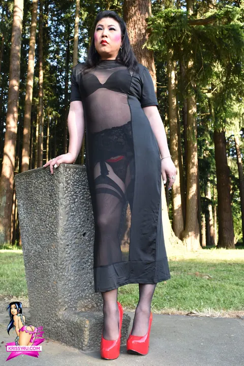 Trans Woman Strips Out of Her Sheer Dress and Heels Outdoors – photo 6 of 16