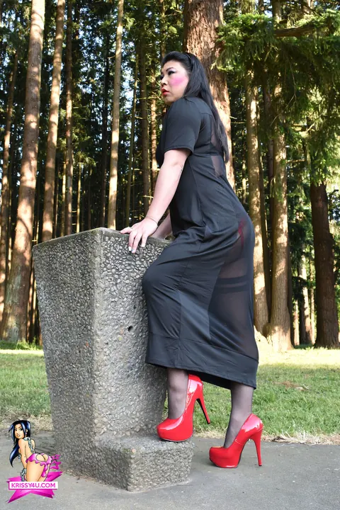 Trans Woman Strips Out of Her Sheer Dress and Heels Outdoors – photo 4 of 16