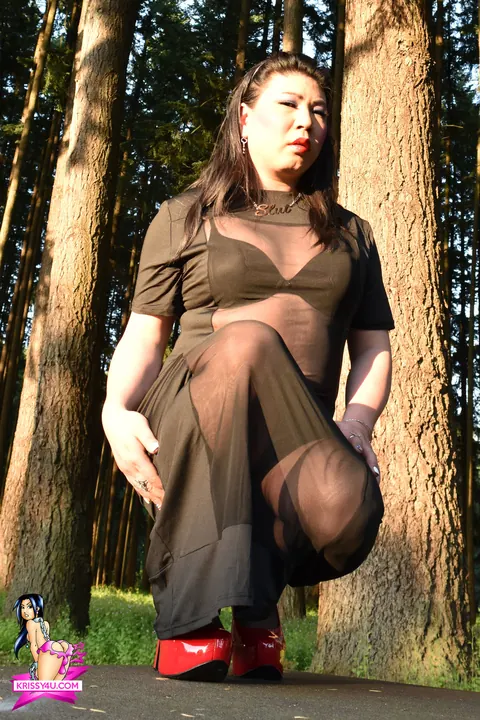 Trans Woman Strips Out of Her Sheer Dress and Heels Outdoors – photo 16 of 16