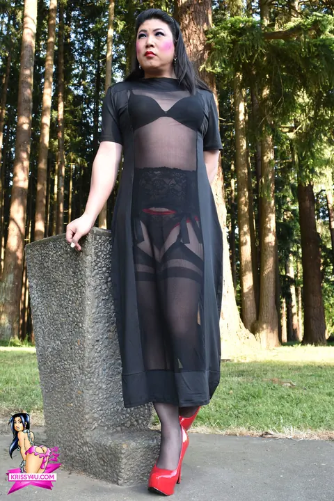 Trans Woman Strips Out of Her Sheer Dress and Heels Outdoors – photo 3 of 16