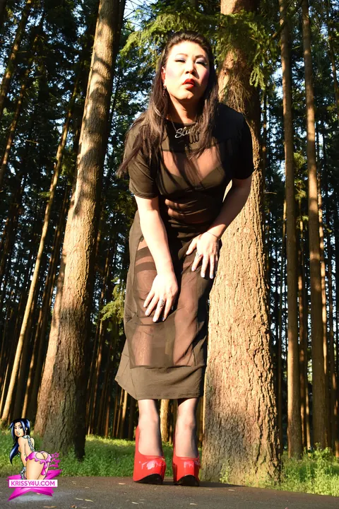Trans Woman Strips Out of Her Sheer Dress and Heels Outdoors – photo 15 of 16