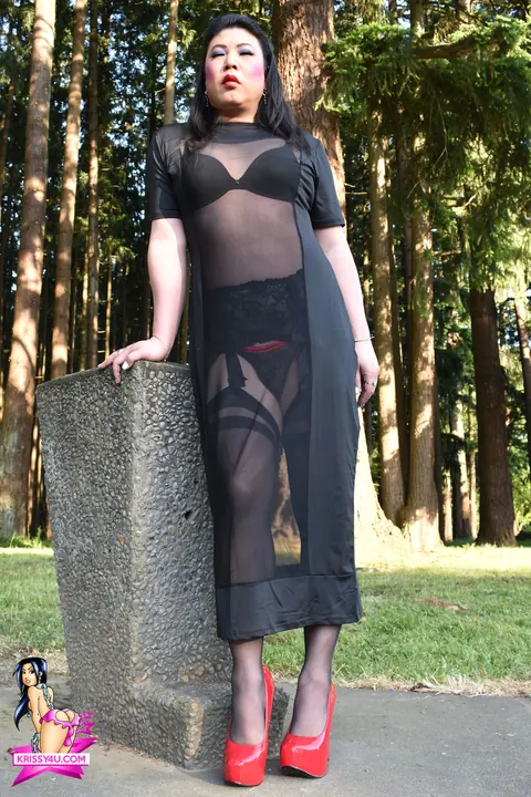 Trans Woman Strips Out of Her Sheer Dress and Heels Outdoors – photo 7 of 16