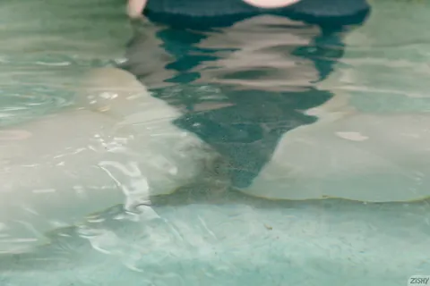 Ophelia Palantine: Brunette PAWG Spreads Her Pussy by the Pool – photo 11 of 12