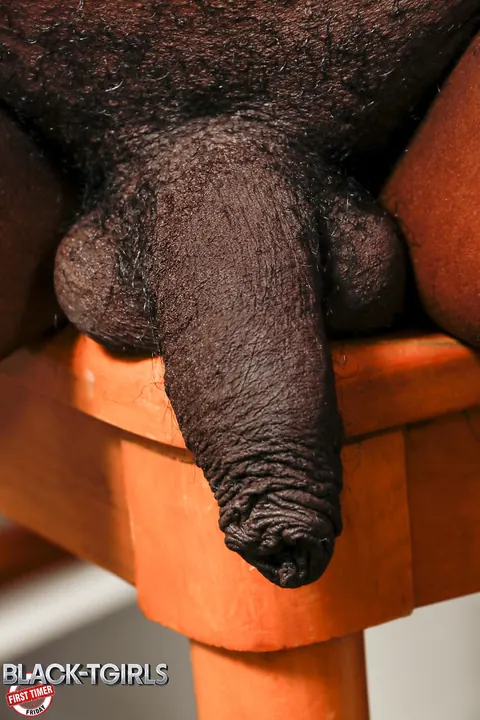 Ebony Trans Woman Poses Nude Showing Her Hairy Bush – photo 12 of 16