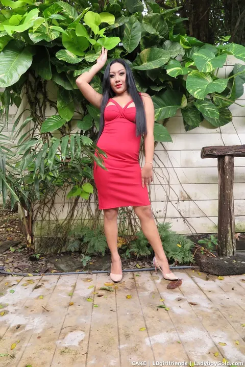 Trans Woman with Big Tits Strips Off Her Red Dress Outdoors – photo 4 of 18