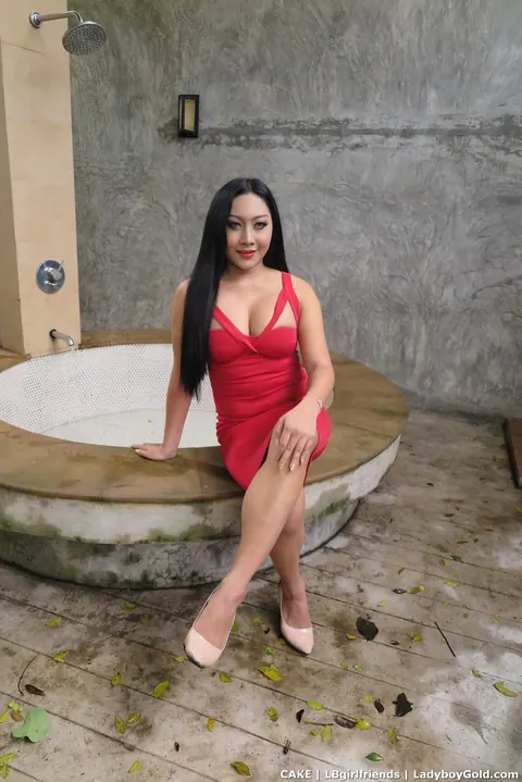 Trans Woman with Big Tits Strips Off Her Red Dress Outdoors – photo 1 of 18