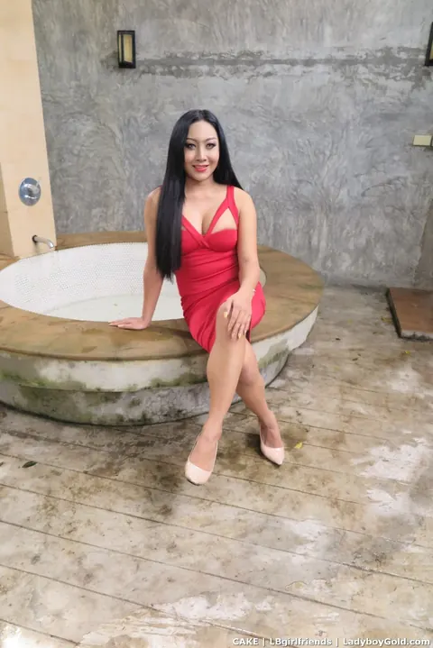 Trans Woman with Big Tits Strips Off Her Red Dress Outdoors – photo 2 of 18