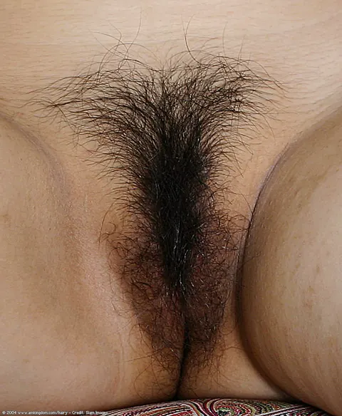 Busty Asian Pulls Her Panties Aside to Spread Her Hairy Pussy – photo 15 of 16