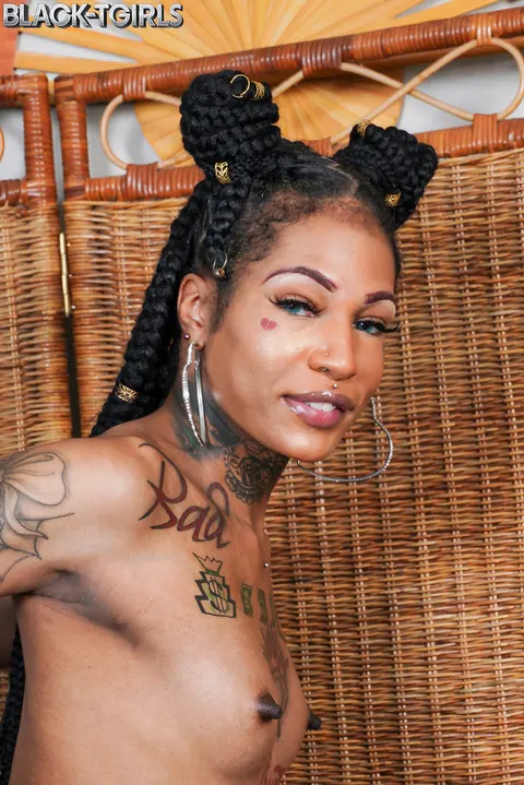 Ebony Trans Woman Strips Nude and Shows Off Her Hard Cock – photo 11 of 16