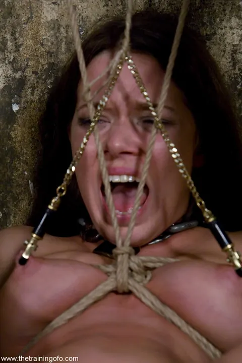 Skinny Brunette in BDSM Bondage and Dildo Play – photo 15 of 21