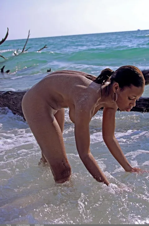 Thick Ebony Babe Oils Her Big Tits on the Beach – photo 18 of 21