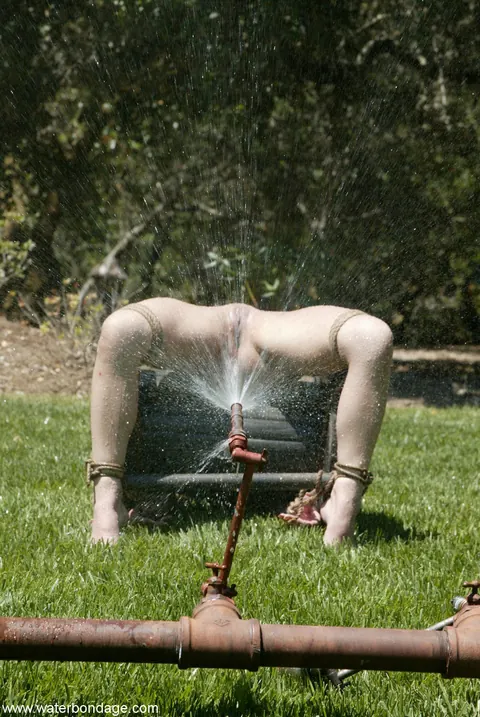 Brooke Bound: Brunette in a Bikini Bound and Toyed with a Dildo Outdoors – photo 20 of 20