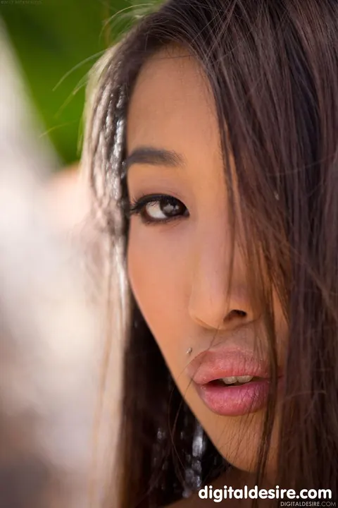 Sharon Lee: Asian Brunette Lifts Her Arms and Bares Her Natural Tits – photo 7 of 21