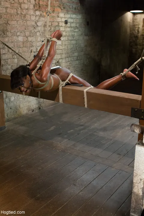 Ana Foxxx: Tall Ebony Brunette Submits to BDSM Bondage and Pussy Hook – photo 20 of 20