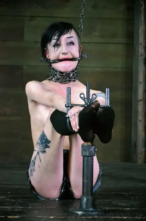 Cadence Cross: Slim Brunette in Bondage Spreads Outdoors – photo 16 of 16