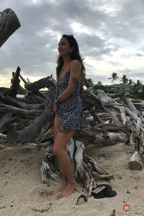 Mi Ha Doan: Asian Brunette in Glasses Spreads on the Beach – photo 2 of 20