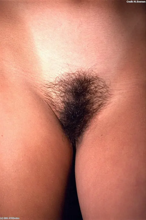 Hairy Brunette Bares Her Natural Tits and Bush – photo 19 of 21