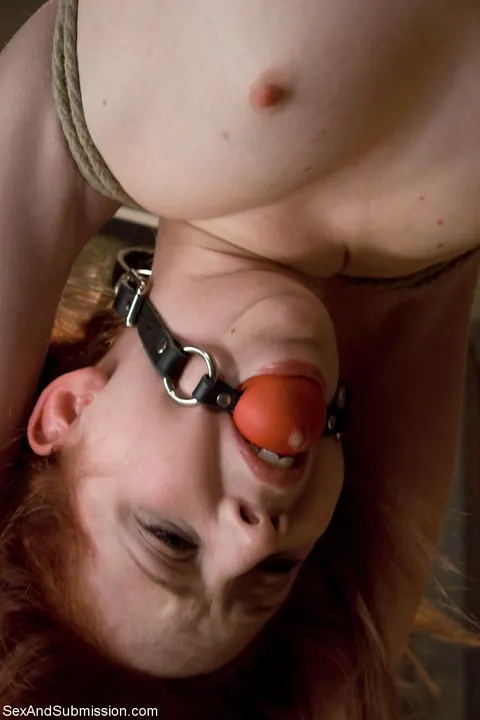Megan Murray: Skinny Redhead Takes Rough Anal in Bondage Doggy Style – photo 11 of 20