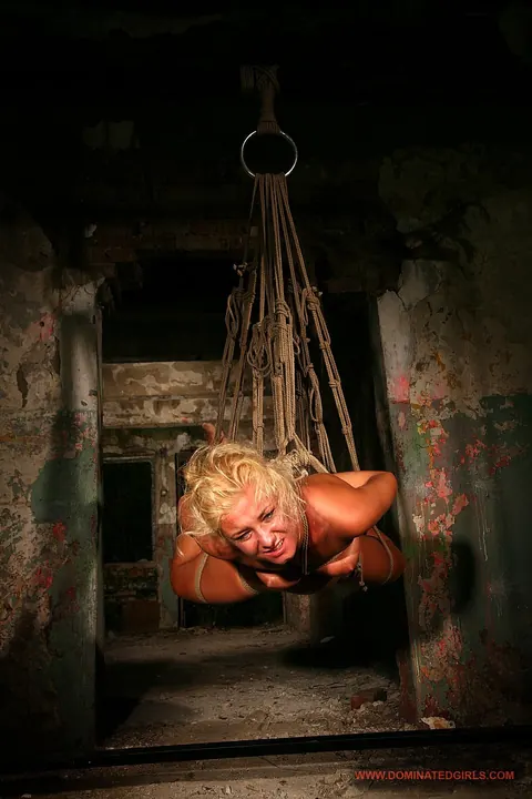 Angelic Diamond: Bound Blonde MILF Deepthroats and Gets Fucked in Restraints – photo 8 of 18