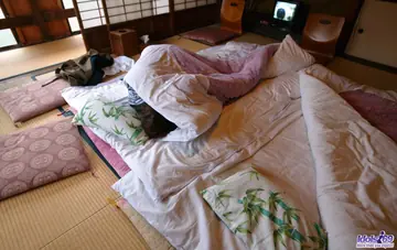 Thick Japanese MILF Undresses to Show Her Hairy Pussy and Big Ass