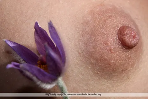 Inez Steffan: Busty European Brunette Spreads Her Hairy Pussy in the Open Air – photo 4 of 16