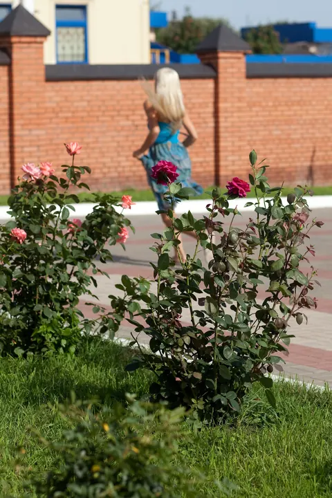 Alysha A: Tall Blonde Shows Her Ass and Spreads Pantyless Outdoors – photo 21 of 21