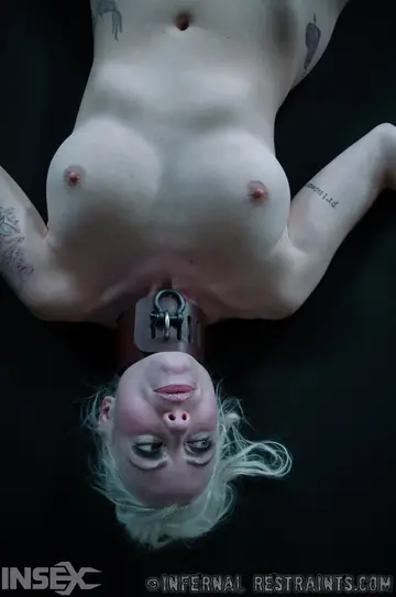 Lorelei Lee – Tattooed Blonde Takes Group Anal and Dildo Play in Bondage