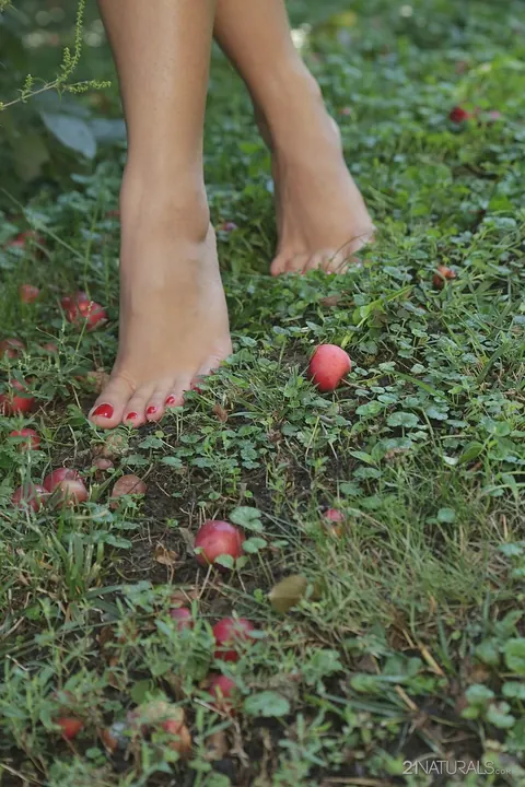 Kira Queen: Russian Brunette Picks Fruit Outdoors in a Skirt – photo 14 of 17