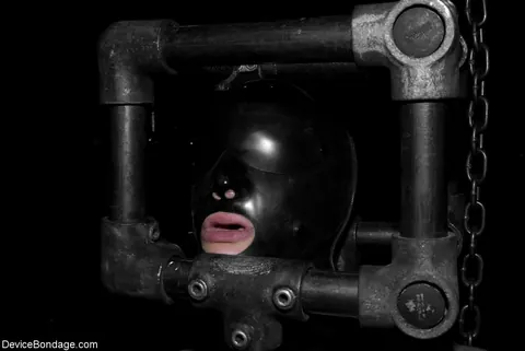Penny Barber: Busty Brunette in Latex Lingerie Fucks Herself with a Dildo While Bound – photo 15 of 21