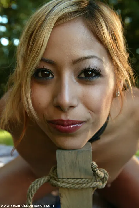 Adrianna Nicole: Asian MILF and Busty Blonde Share a Bondage Threesome – photo 2 of 20