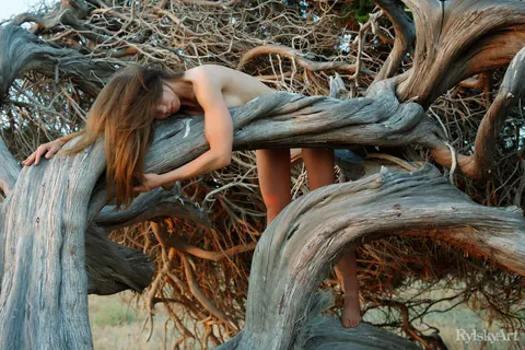 Nedda: PAWG Brunette Strips Out of Her Skirt on Tree Roots – photo 6 of 16
