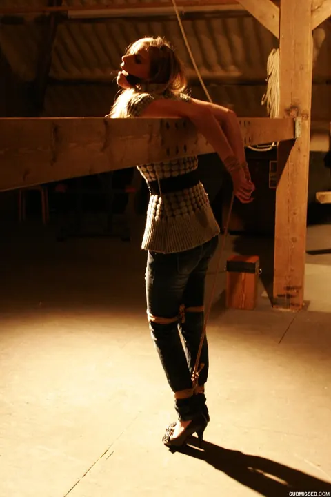 Blonde Bound and Gagged with Ropes While Nude – photo 1 of 16