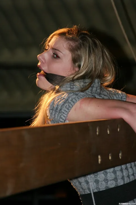 Blonde Bound and Gagged with Ropes While Nude – photo 13 of 16
