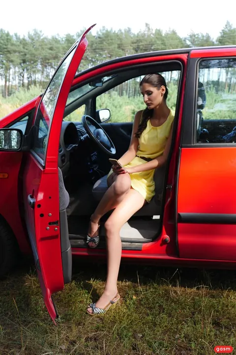 Coco Kiss: European Brunette Undresses and Fucks in a Car – photo 8 of 15