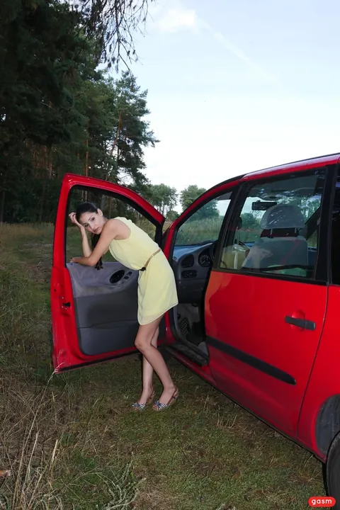 Coco Kiss: European Brunette Undresses and Fucks in a Car – photo 5 of 15