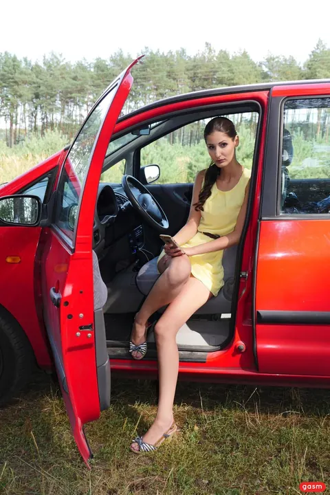 Coco Kiss: European Brunette Undresses and Fucks in a Car – photo 6 of 15