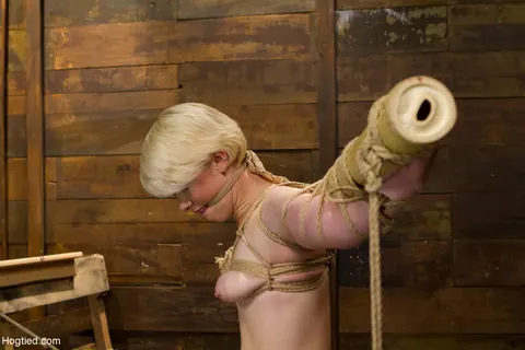 Lexi LaRue: Tall Blonde Bound Nude in Bondage Restraints – photo 4 of 21