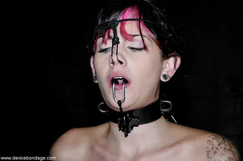 Kayden Faye: Slim Brunette with Big Tits Submits to Bondage and Dildo Play – photo 16 of 21