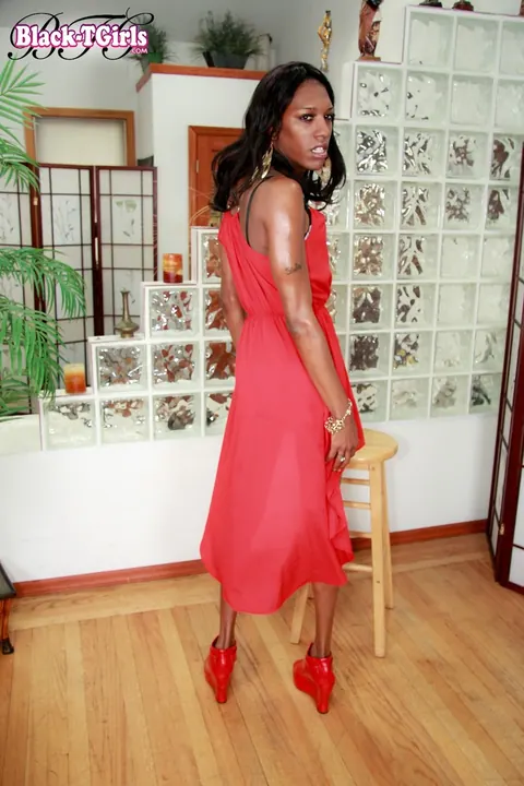 Slim Ebony Trans Woman Stands Nude and Displays Her Hard Cock – photo 2 of 16