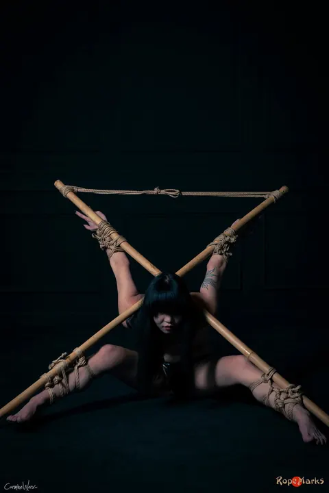 Asian Brunette with Tattoos Bound to Bamboo Poles in Panties – photo 15 of 16