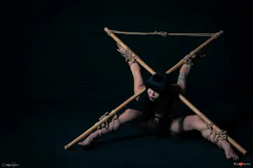 Asian Brunette with Tattoos Bound to Bamboo Poles in Panties