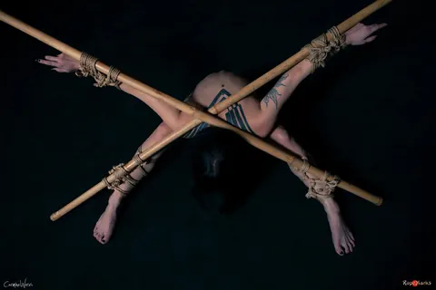 Asian Brunette with Tattoos Bound to Bamboo Poles in Panties – photo 13 of 16