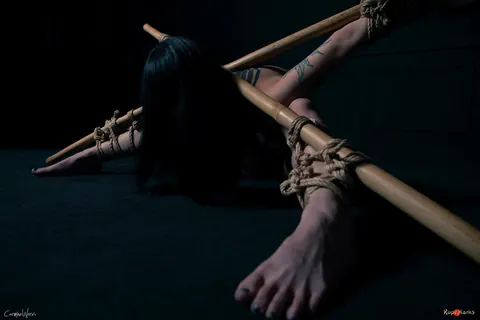 Asian Brunette with Tattoos Bound to Bamboo Poles in Panties – photo 11 of 16