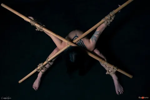 Asian Brunette with Tattoos Bound to Bamboo Poles in Panties – photo 12 of 16